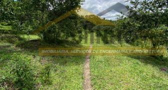 CI 474- Terreno de 2 hectares à venda no povoado Butua em Itaguara